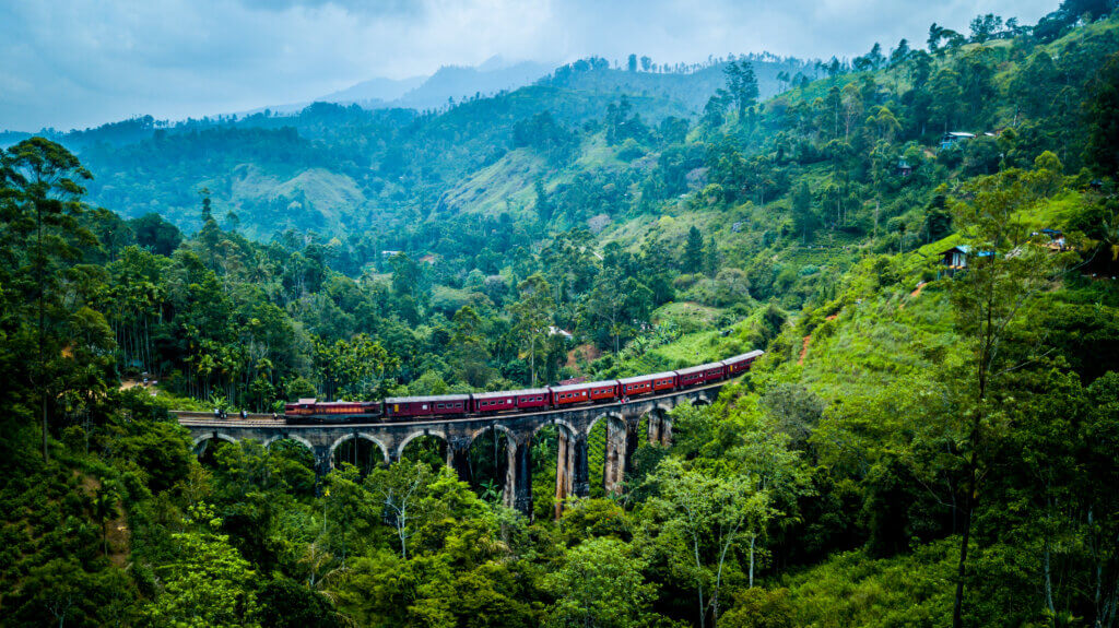 原産地,スリランカ,Sri Lanka