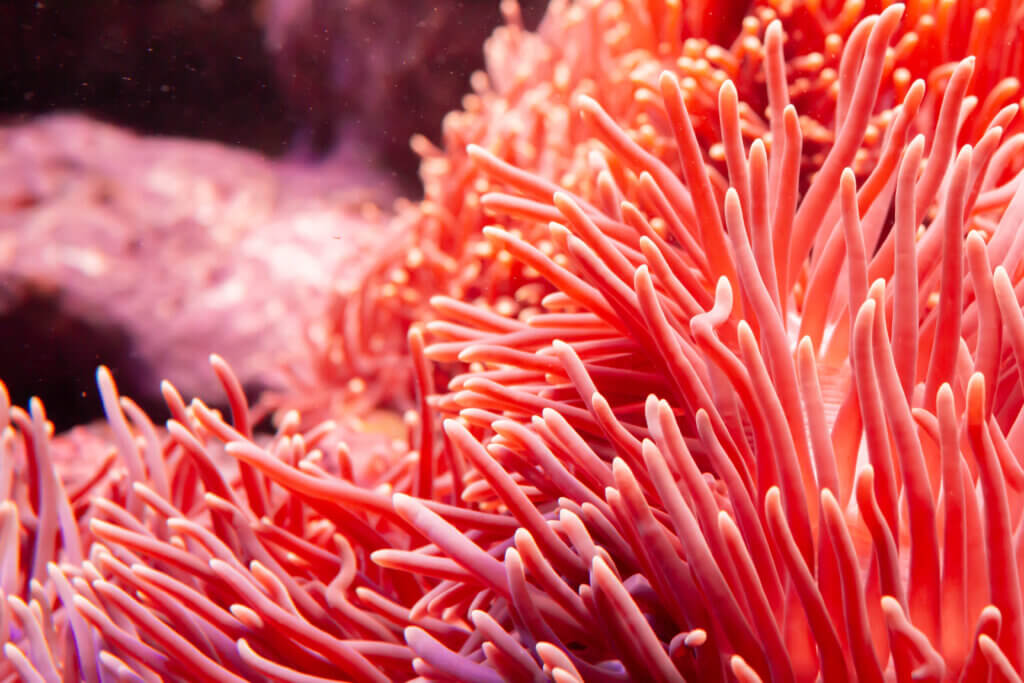 意味