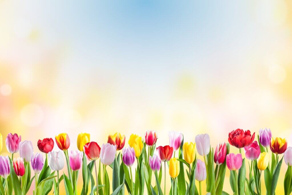 3月生まれの性格