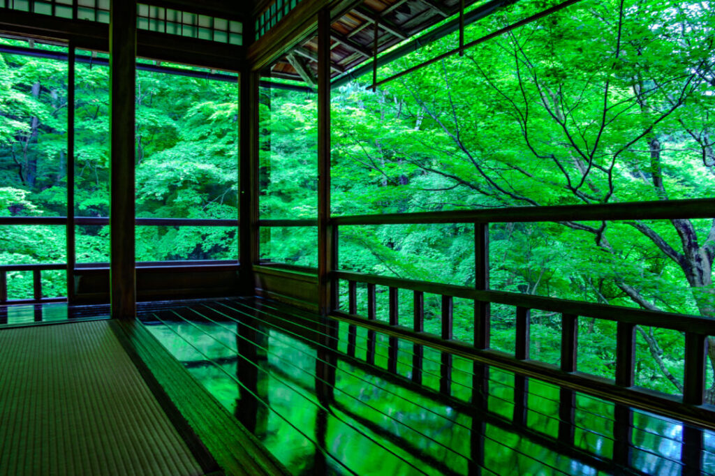 画像に alt 属性が指定されていません。ファイル名: shutterstock_1085301035-1024x682.jpg