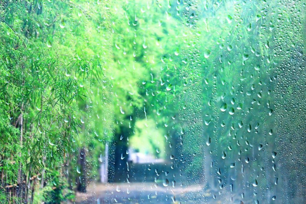 梅雨の特徴