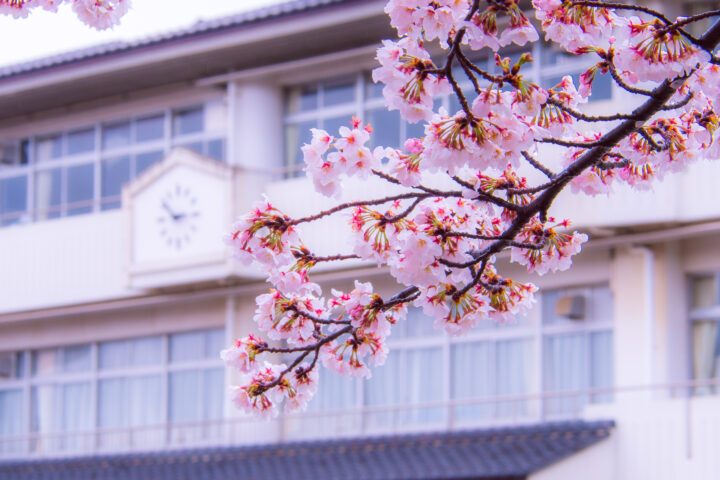 就職や入学、新学期などの新しい環境に向けてコミュニケーション能力をアップさせるパワーストーン 天然石をご紹介します!