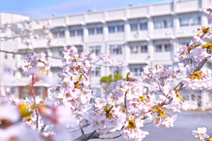 卒業式に友達と贈りあいたいお洒落で可愛いパワーストーンブレスレットをご紹介します!~素敵な気持ちを込めて~