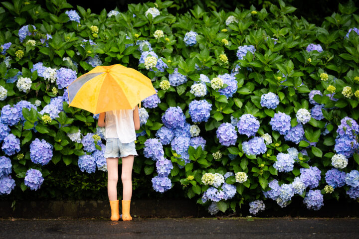 ネガティブになりがちな梅雨にポジティブなパワーストーン 天然石を!明るい気持ちへと導きます!