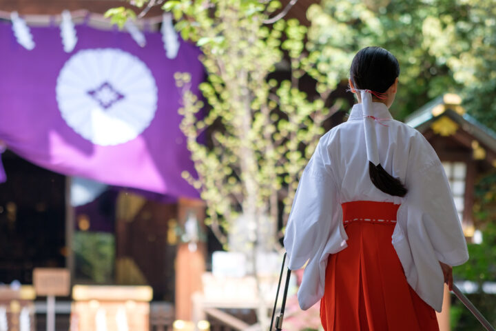 聖職者タイプ:神聖なる導き手の魂