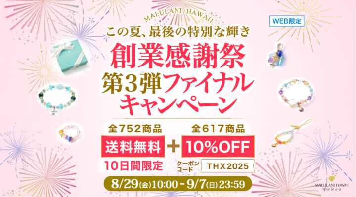 8/29~9/7 創業感謝祭 第3弾 ファイナルキャンペーン 送料無料+10%OFF 10日間限定!